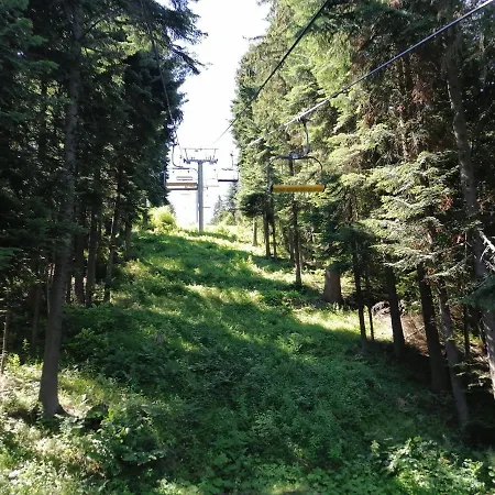 15 * Borovets
