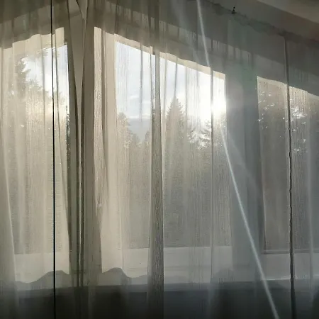 15 بوروفتس