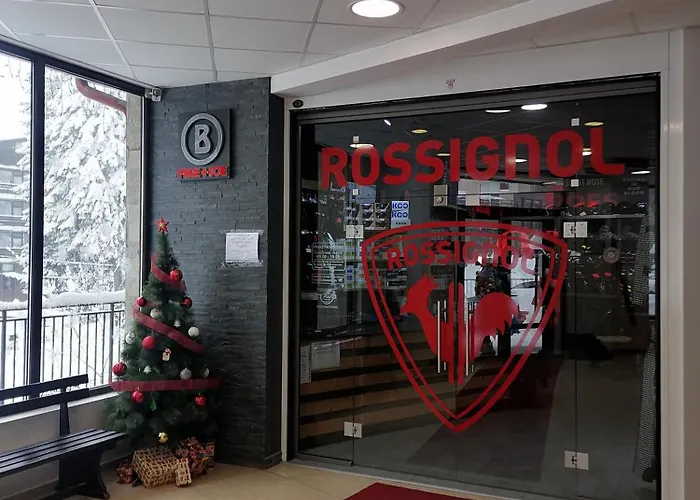 15 Apartament Borowec